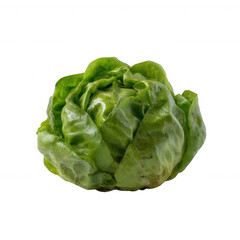 Obraz premium Fresh green lettuce lettuce, perfect for salads and garnishes, isolated on a white background, showcasing its vibrant color and crisp texture.