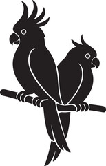 cockatoo bird  কাকাতুয়া পাখি