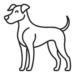 dog on white background