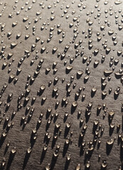 Obraz premium drops of water on cardboard
