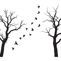 A black and white minimalist illustration of two bare trees with intricate branch patterns against a white background. 