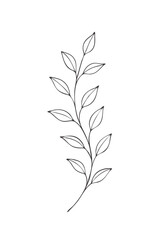 Minimal Line Art Botanical Branch with Leaves &ndash; Vector Illustration