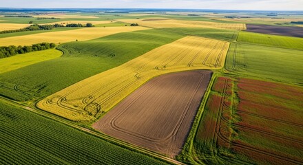 Aerial view capturing the patterns of cultivated farmlands in vibrant agricultural landscape