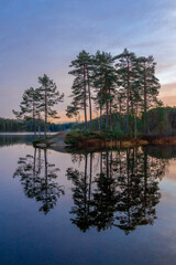 Serene Forest Reflection at Dusk with Tranquil Lake and Majestic Pine Trees in a Nordic Landscape