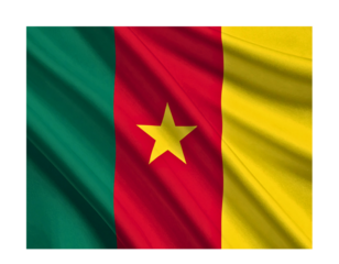 Cameroon flag waving with realistic texture isolated on transparent background
