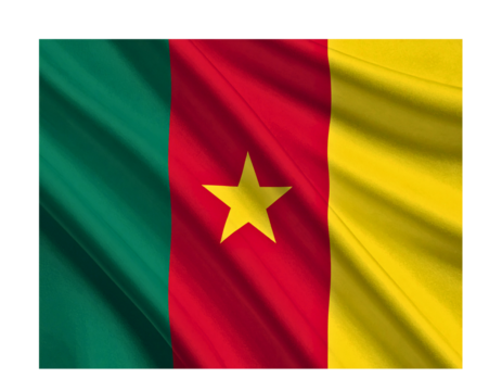 Cameroon flag waving with realistic texture isolated on transparent background