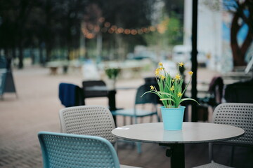 Tranquil Outdoor Cafe Setting with Vibrant Yellow Flowers in Blue Pot on Table Under Twinkling String Lights