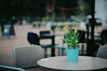 Charming Outdoor Café Scene with Yellow Flowers in Decorative Blue Pot on a Round Table
