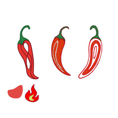 hot chili pepper. Red chili pepper hand drawn illustration. Vibrant red chili pepper illustration. Hand drawn red chili pepper. Red chili pepper doodle