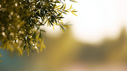 green leaves in sunlight