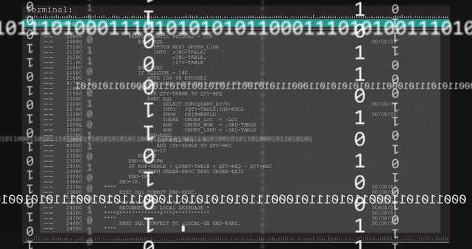 Displaying terminal window showing SQL-like code on digital screen, with binary streams and rulers