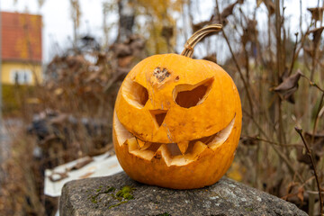 A weathered Halloween pumpkin with a carved face sits on a stone surface in an autumn garden. The...