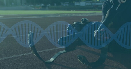 Adjusting teenage para athlete fitting prosthetic blades on bench at track, in leggings, copy space