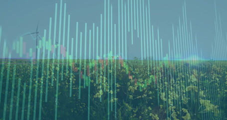 Displaying yellow crop field showing digital bar and candlestick charts at farm, with wind turbines