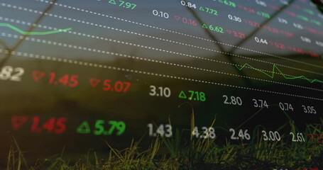 Displaying stock market data floating over grass blades in field, with tickers, arrows, grid lines