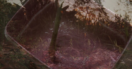 Reflecting mirror panel capturing adult wearing jeans and sneakers in forest glade, with tree trunk