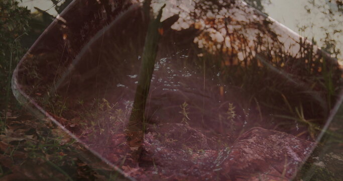 Reflecting mirror panel capturing adult wearing jeans and sneakers in forest glade, with tree trunk - Powered by Adobe