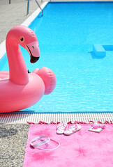Summer background with inflatable flamingo