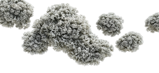 Clumps of light gray, textured material