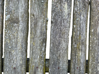 Old wooden fence isolated on white background. This has clipping path.