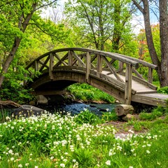 Wooden bridge over a stream in a lush park