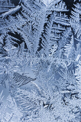 窓ガラスに付着した霜を撮影した写真