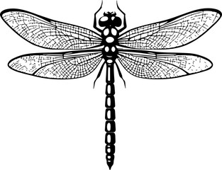 Minimalist dragonfly icon