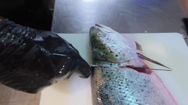 Close-up of chef slicing fresh trout fish with a knife on white cutting board. Professional seafood preparation in commercial kitchen