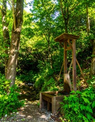 Wooden water pump in a lush forest