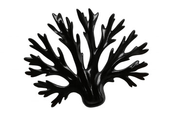 Fototapeta premium Black coral branching against clear backdrop, highlighting delicate marine ecosystem and underwater environmental richness