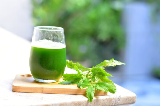 O mastruz é uma planta herbácea bastante conhecida por suas propriedades medicinais. Possui folhas verdes e finas, com um aroma característico e sabor amargo