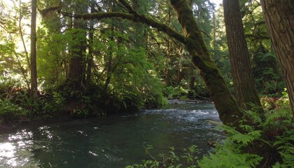 Sunlit stream flows serenely