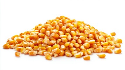 Golden corn kernels on white background. Neural network AI generated