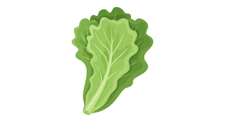 Minimalist Lettuce Leaf Vector Illustration with Green Organic Shapes