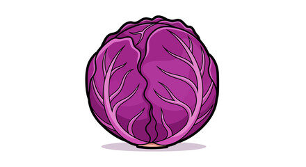 Fototapeta premium Illustration Vector of Purple Red Cabbage Vegetable with Organic Leaf Pattern