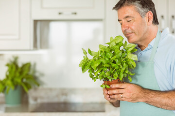 Senior man sniffing basil in terra-cotta pot in home kitchen wearing mint-green apron, copy space