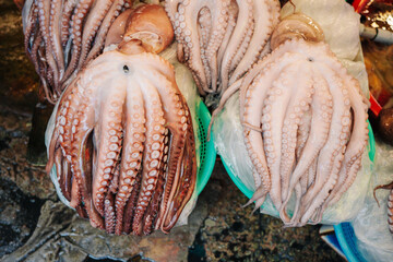 Fresh, raw octopuses displayed on a market stall. Multiple tentacles are visible, with a dark background.