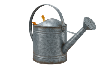 Isolated Weathered Metal Watering Can with Autumn Leaf