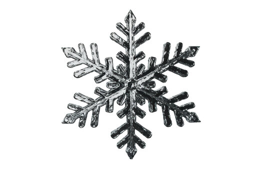 Isolated Sparkling Silver Snowflake Ornament for Winter Holidays