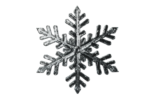Isolated Sparkling Silver Snowflake Ornament for Winter Holidays