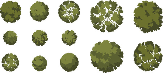 Top-down tree icon, aerial view, green foliage, landscape design, urban planning asset