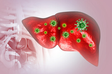 Human liver with hepatitis virus. 3d illustration