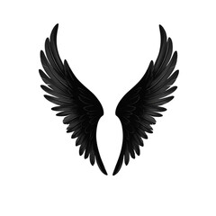 Obraz premium eagle vector illustration Black Silhouette of Angel Wings Spread on Transparent Background