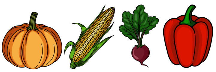 A vibrant vector illustration showcasing a collection of handdrawn vegetables a pumpkin, corn on the cob, beetroot with leaves, and a bell pepper, each rendered with detailed linework and rich co...