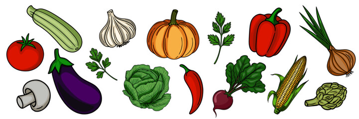 A vibrant vector illustration showcasing a diverse collection of handdrawn vegetables, including zucchini, garlic, pumpkin, bell pepper, onion, tomato, eggplant, parsley, cabbage, chili pepper, be...
