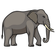 Obraz premium A detailed vector illustration of an Asian elephant, showcasing its distinctive features like large ears, thick legs, and long trunk with ivory tusks, presented in a simplified, cartoonlike style.