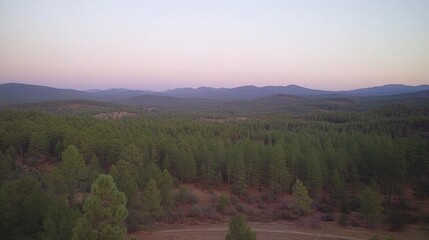 Obraz premium Serene Forest Vista at Dusk: Rolling Hills and Soft Pastel Sky