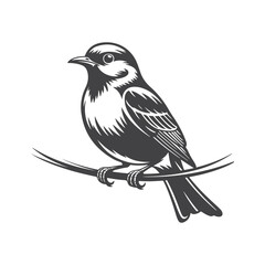 Fototapeta premium Small bird perched on a branch nature wildlife