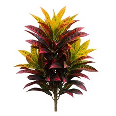 Obraz premium Crimson & Gold Croton: Vibrant Artificial Plant