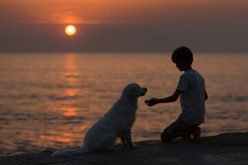 young boy waves goodbye to his beloved dog during heartfelt farewell at sunset